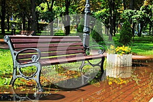 bench after the rain