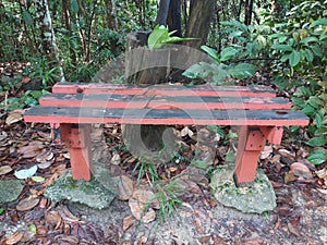 A bench rest in the forest with dry leaves and fresh green leaves. Relex side in the forest.