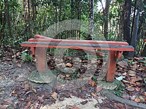 A bench rest in the forest with dry leaves and fresh green leaves. Relex side in the forest.