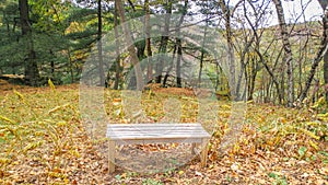 Bench on a Rock Ledge With Scenic Drop Off