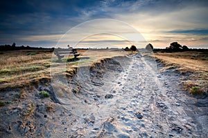 Bench by sand road