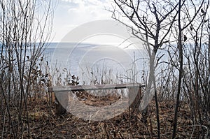 A bench with a sea view