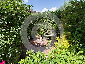 Bench in a secluded corner of the garden park. Landscaping