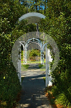 Bench in Secluded Garden photo