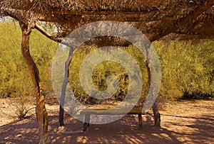 Bench in the Shade of a Desert Ramada