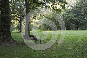 Bench in the shade under an oak tree.