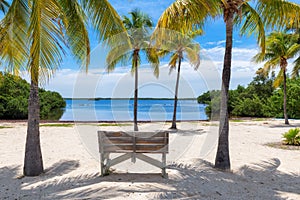 Bench in shadow of Palm trees in Florida Keys.