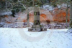 A bench in the shape of a snowy circle in a nature park. Encircles the trunk of an oak tree. In the background, a large