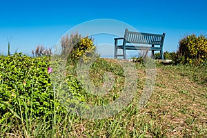 A bench on shore of the Baltic Sea