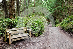 Bench by side of nature path