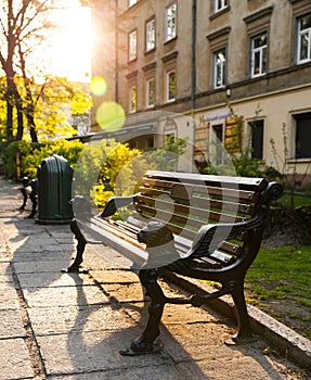 Bench with the skyline in the background.