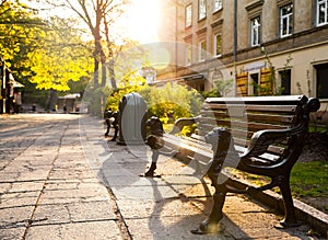 Bench with the skyline in the background.