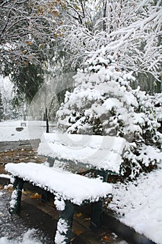 Bench in the snow