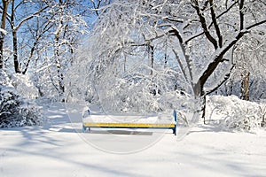 A bench in the snow under the tree