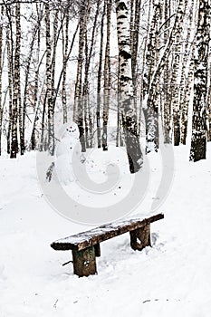 bench and snowman in birch grove in winter