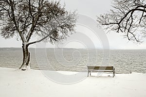 Bench in a snowy winter senery photo