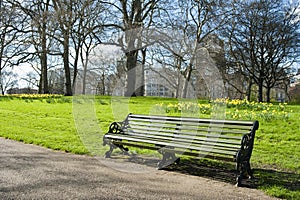 Bench in the spring