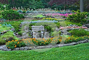 Bench in a summer garden with blooming flowers