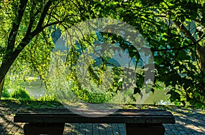 Bench in summer park on the pond