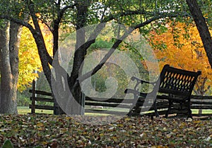 Bench in sunlit countryside