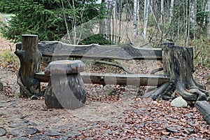 bench and table mushroom for relaxing and picnic in nature