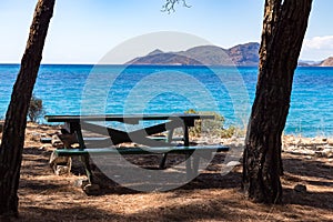 Bench and table in the shadow of a tree on the beach with sea view photo