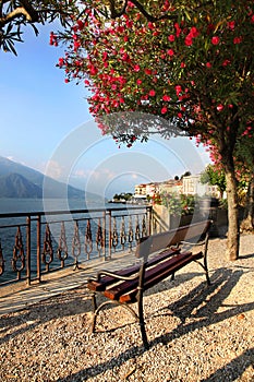 A bench to enjoy the view across beautiful Lake Como