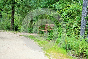 Bench on trail