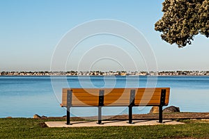 Bench and Tree at Chula Vista Bayfront Park