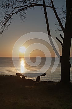 Bench by the tree on the sea shore at sunset