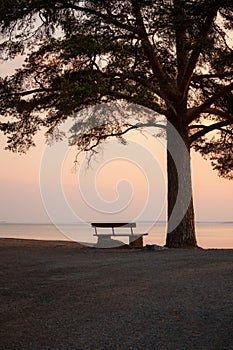 Bench and tree silhouette viewing to serene lake