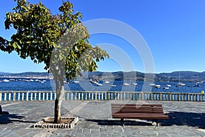 Bench, tree and stone handrail in a beach promenade. Boats in a bay with blue water, clear sky, sunny day. Galicia, Spain.