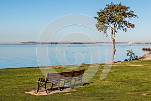 Bench and Trees Facing San Diego Bay