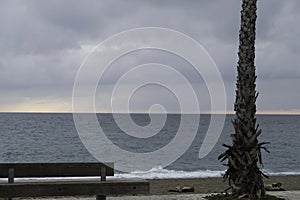 A bench under a palm tree by the sea near a beach on the Ponente Riviera