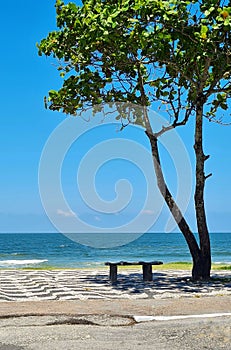 Bench under the shade of the tree on the boardwalk by the sea