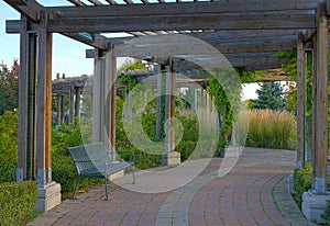 Bench under a shaded arbor. photo