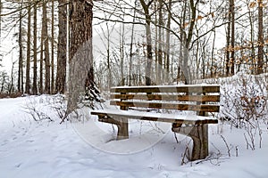 Bench under the snow