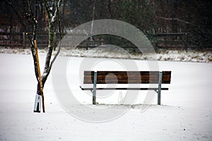 Bench under snow in Michigan cold winter lonely sad