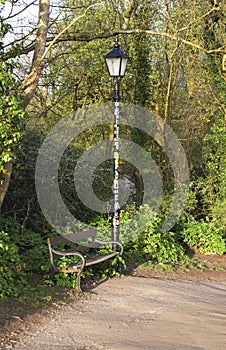 Bench under a street lamp in a park