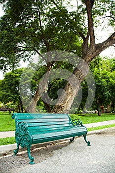 Bench under a tree.