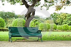 Bench under a tree.