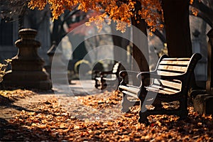 bench under a tree near the Picturesque Lake, idyll and silence.