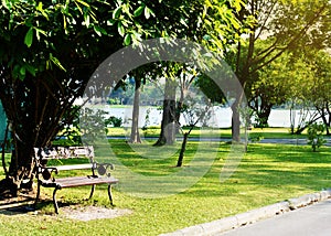 A bench under a tree Park in Bangkok.