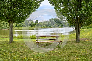 Bench under trees by lake in Angern an der March AUSTRIA