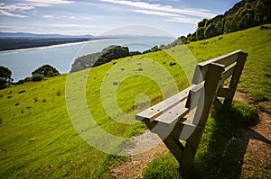 Bench with a view