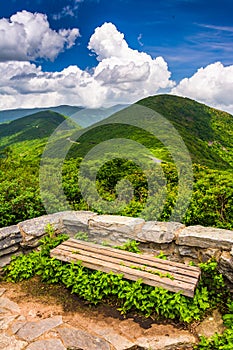 Bench and view of the Appalachians from Craggy Pinnacle photo