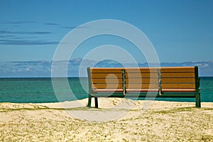 Bench with View of the Ocean