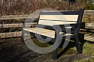 A bench waiting providing a place for the next vistor to rest.