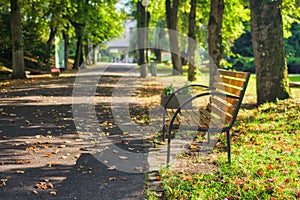 The bench by the walkway in the park in Sliac spa resort by Hotel Palace