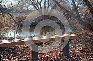 Bench by the water in the winter time